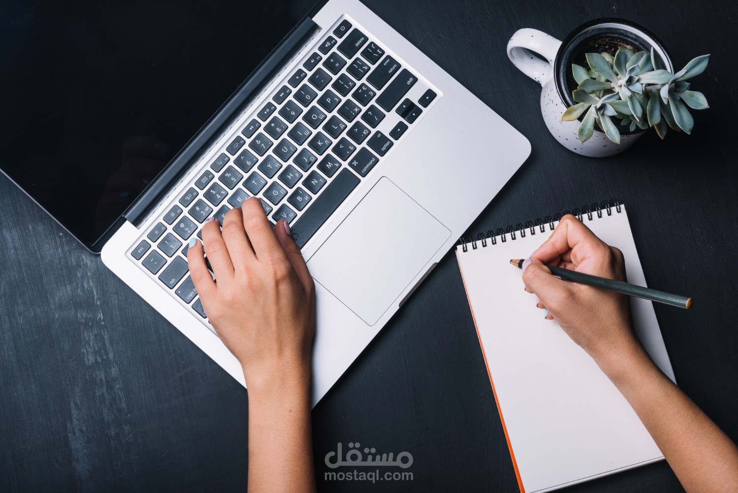 كتابة محتوى لبروشور قصص نجاح باللغة العربية والانجليزية