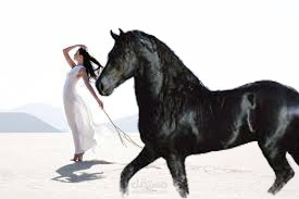 تصميم الصور