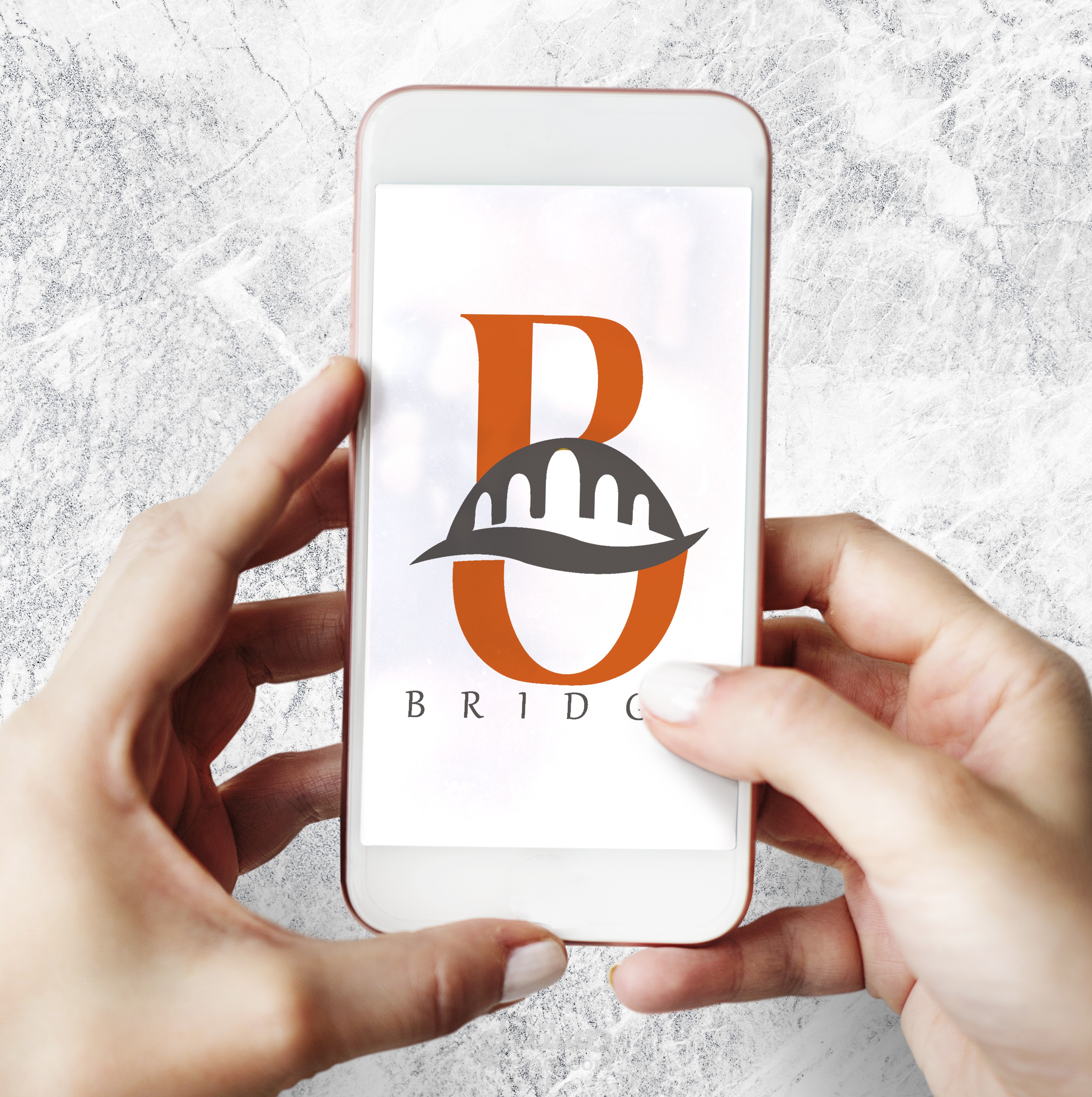 لوجو ابليكيشن بريدج.