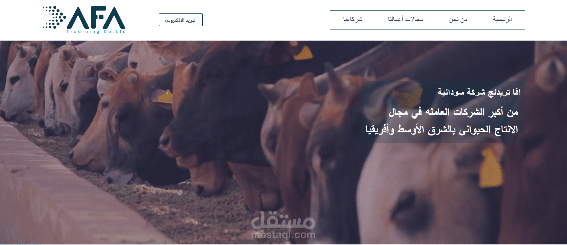 تصميم وإدارة الموقع الإلكتروني لشركة أفا تريدينج