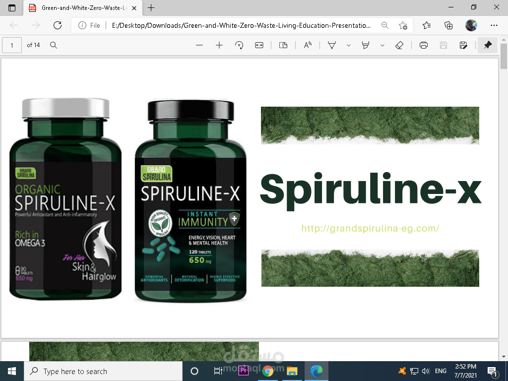 شركة spiruline-x