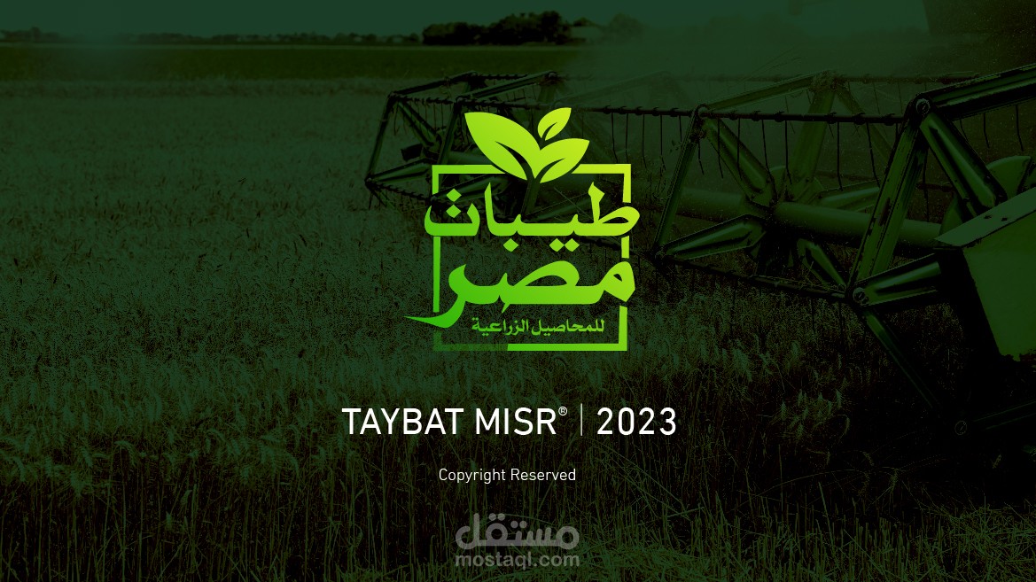هوية شركة حاصلات زراعية .. Taybat Misr branding
