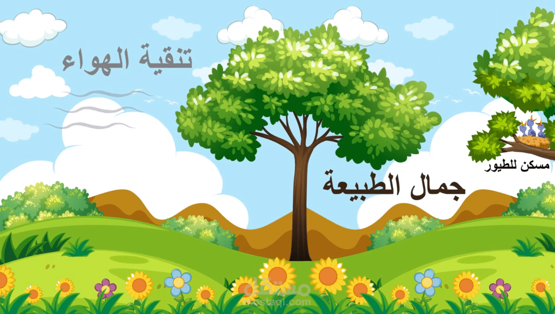 النبتة - موشن جرافيك للأطفال