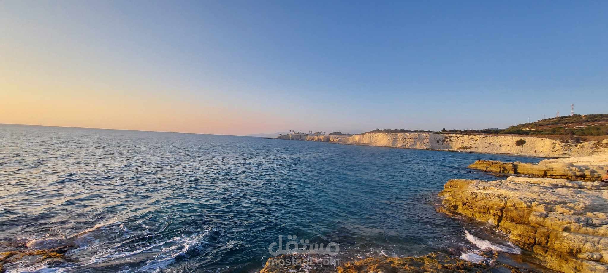 قصيدة شعرية