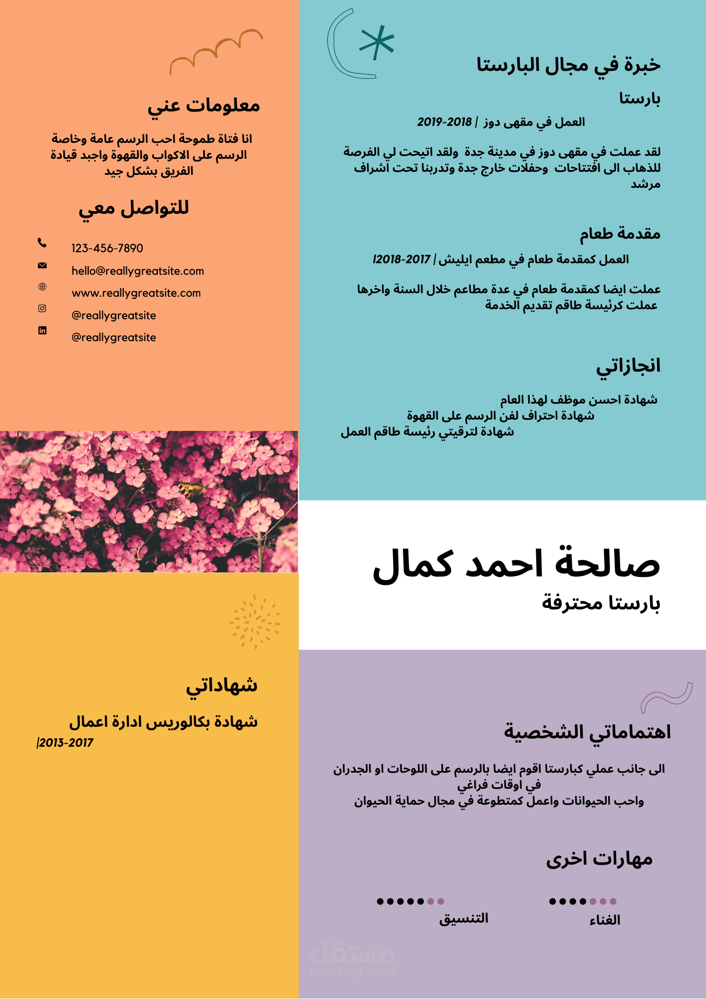 تصميم سيرة ذاتية