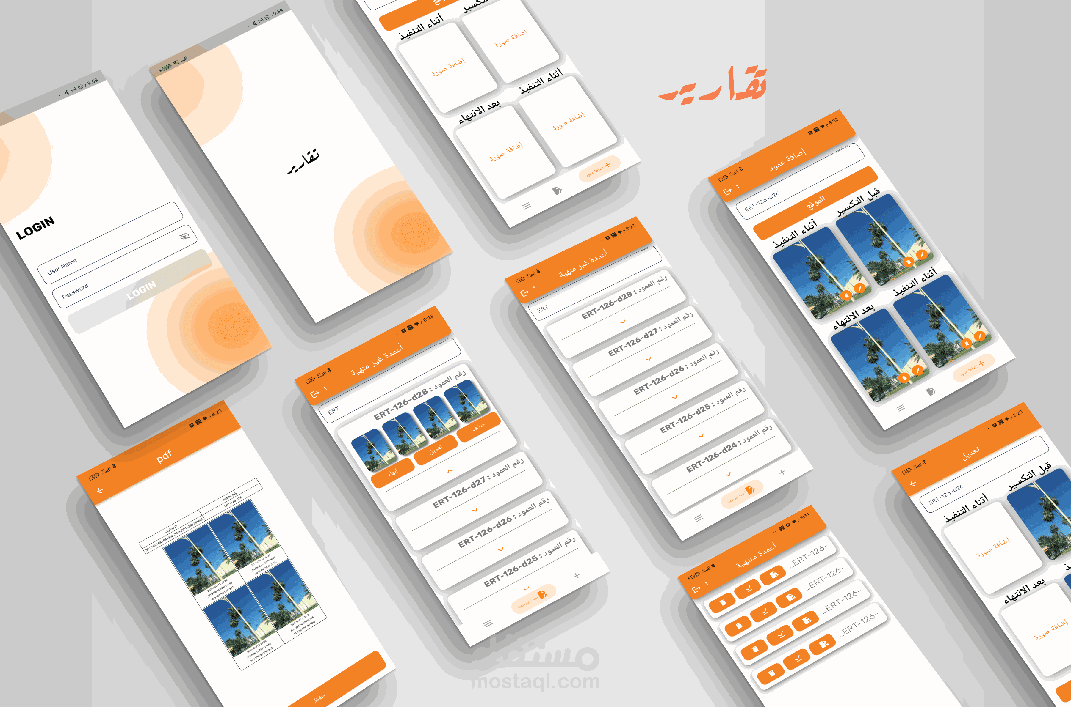 تقارير (reports)