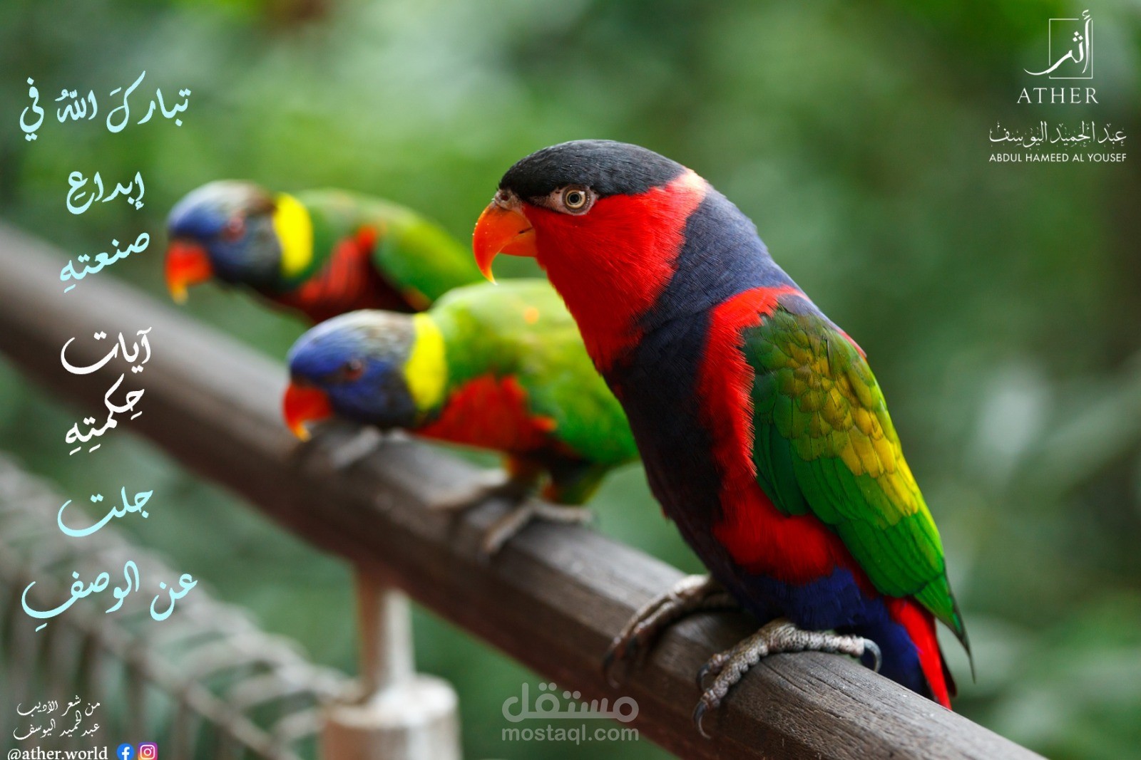 كتابة أنشودة دينية وفق الطلب