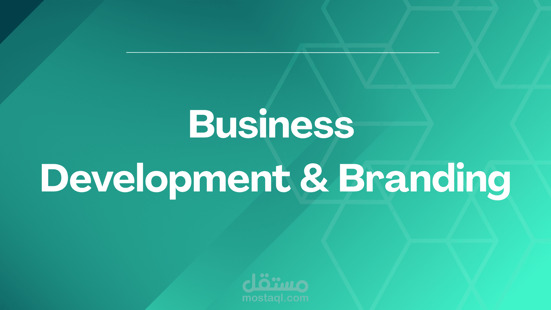 تأسيس وتطوير الهوية التجارية وإدارة النمو لشركة تسويق رقمي
