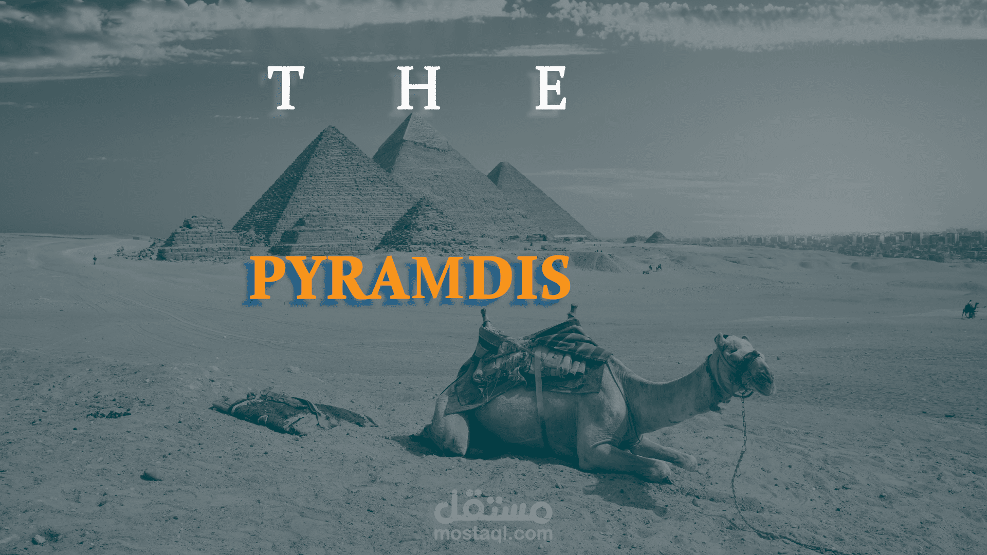 تصميمات سوشيال ميديا