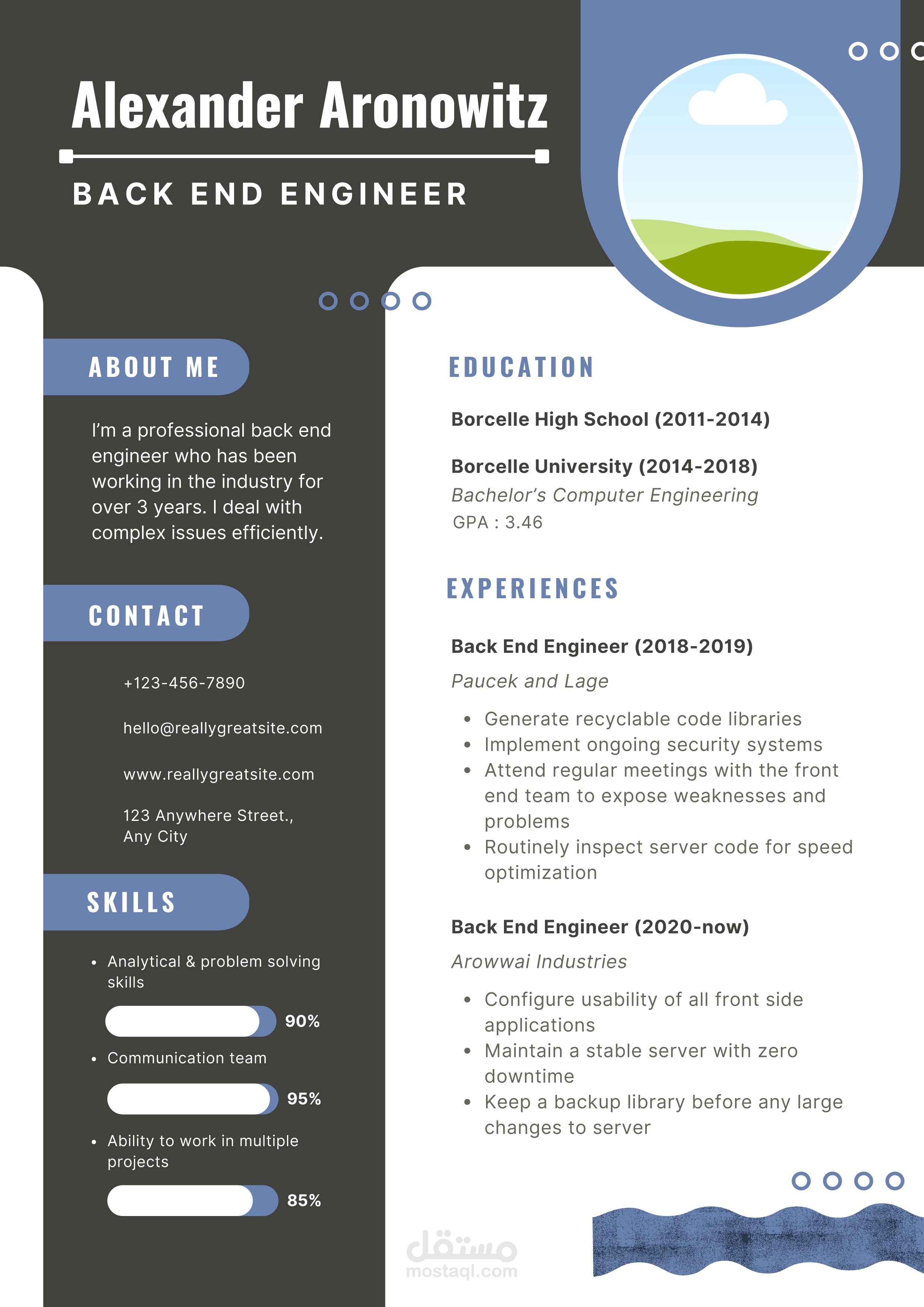 cv سيرة ذاتية