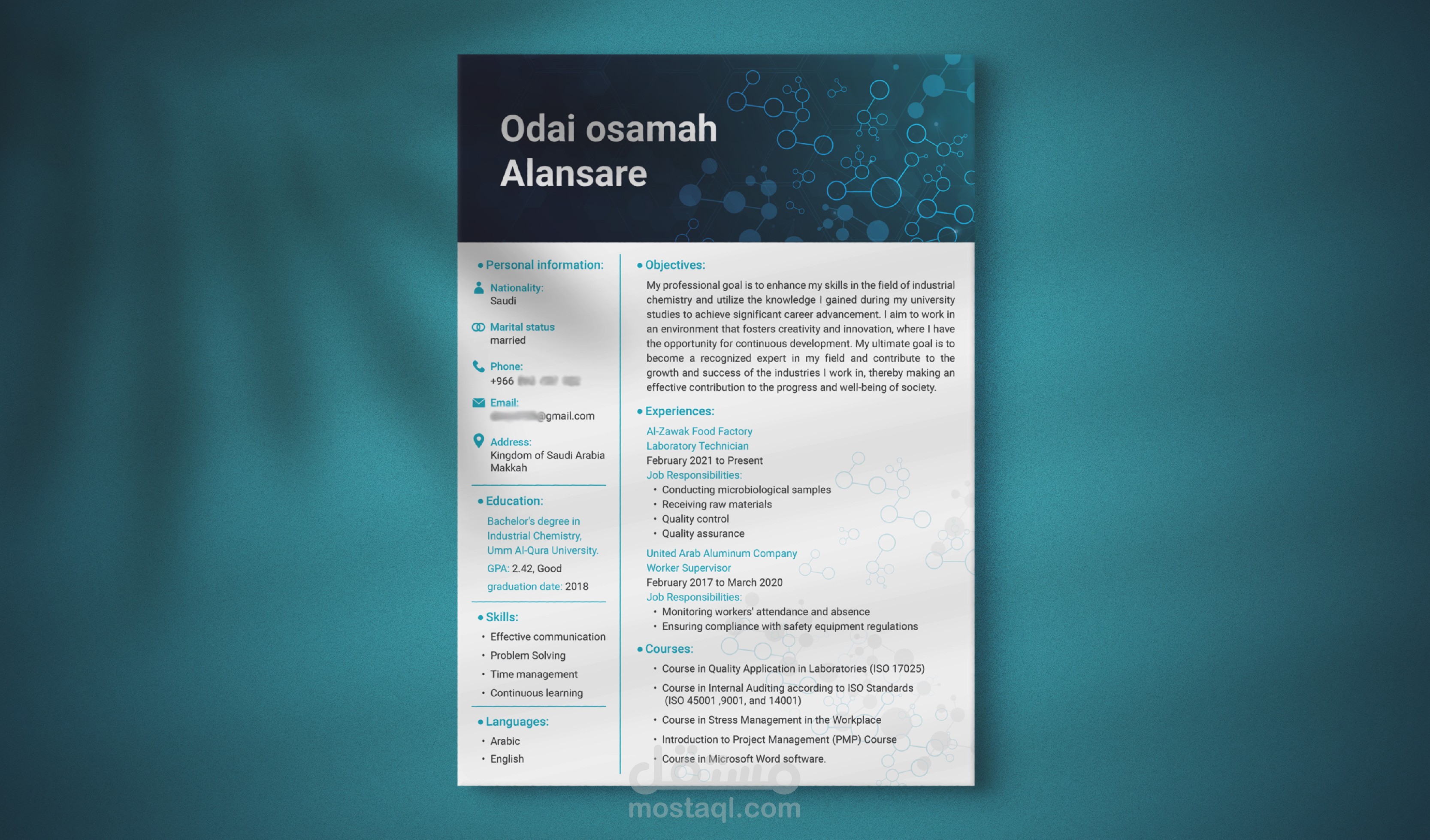 تصميم مجموعة سير ذاتية احترافية Profissional CV design