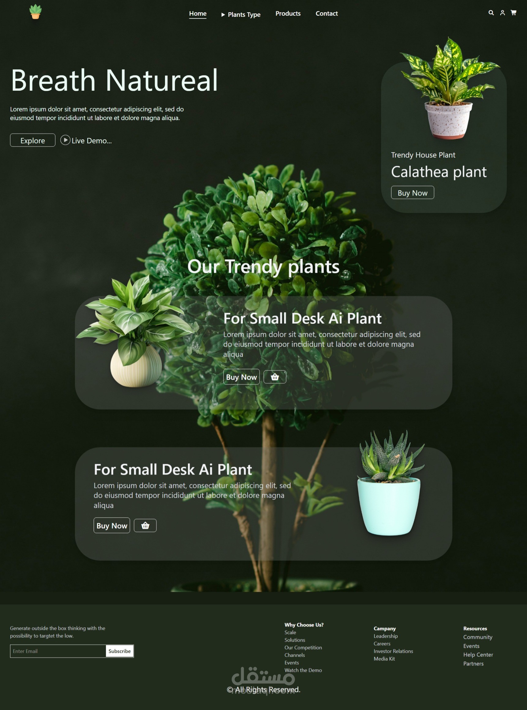 صفحة هبوط مميزه مجهزه ب tailwind