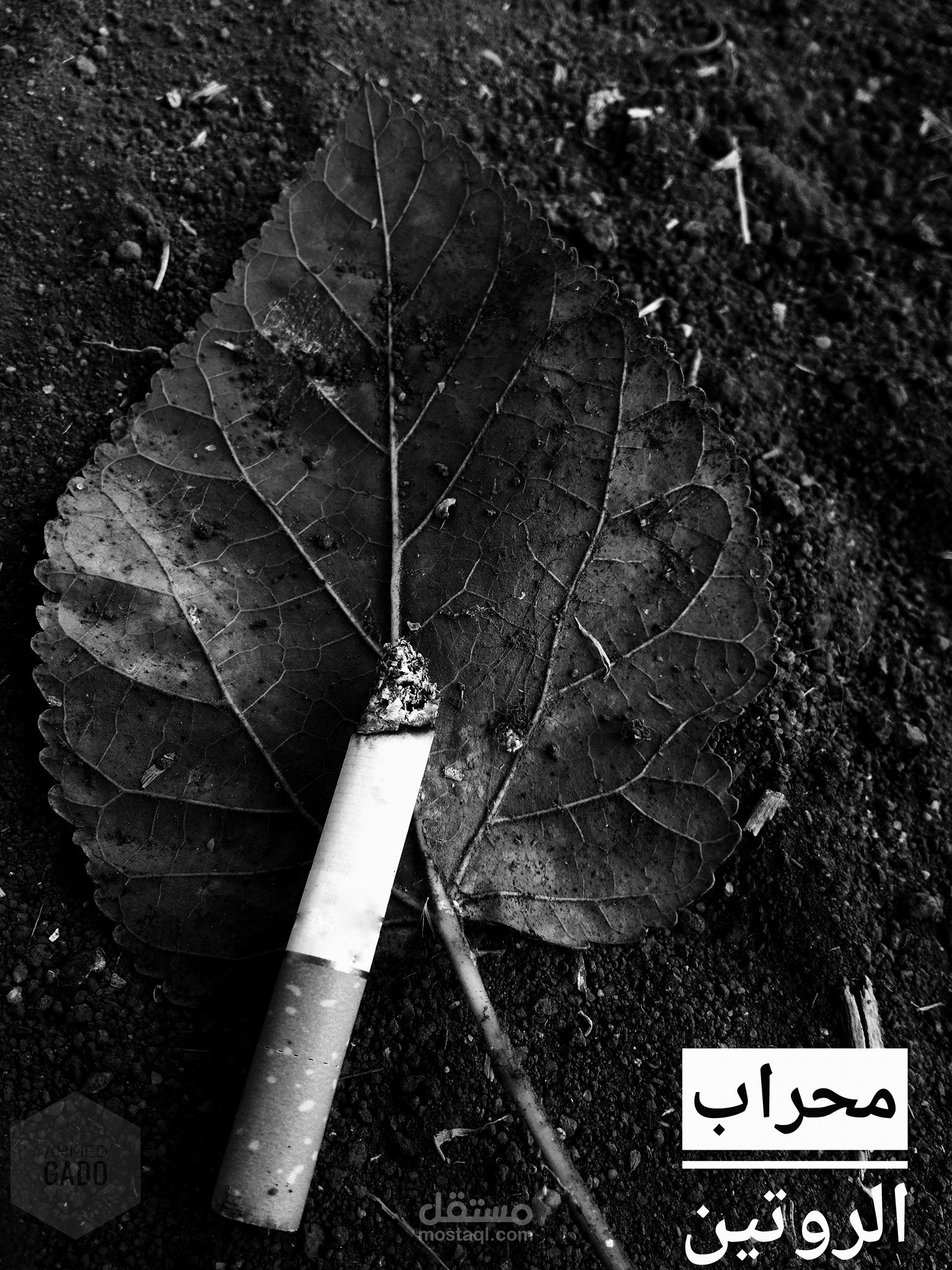 محراب الروتين - قصة قصيرة