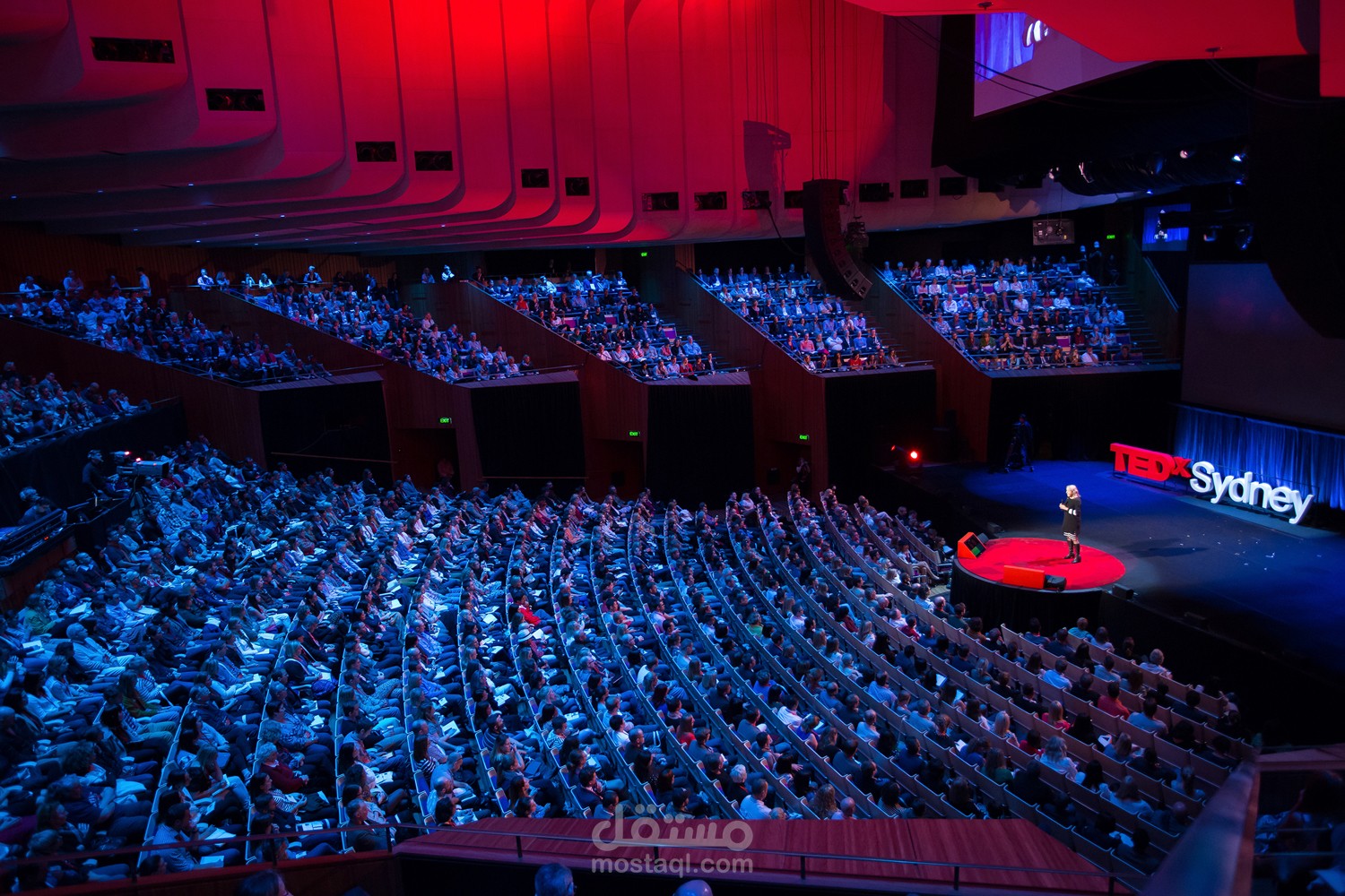 أفضل 10 محادثات من Ted عن التعليم يجب أن تشاهدها – الجزء الأول
