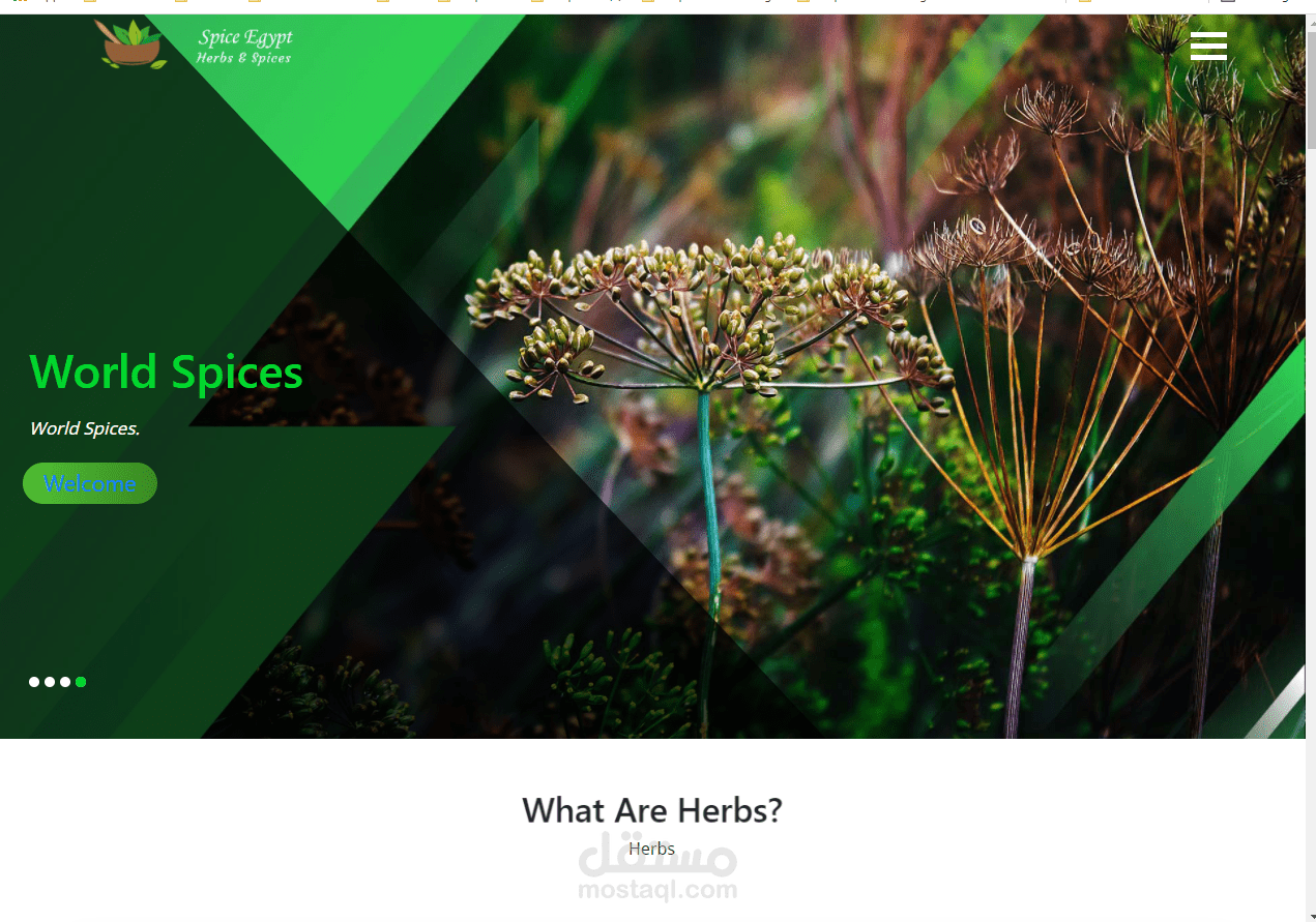 https://spiceeg.com/