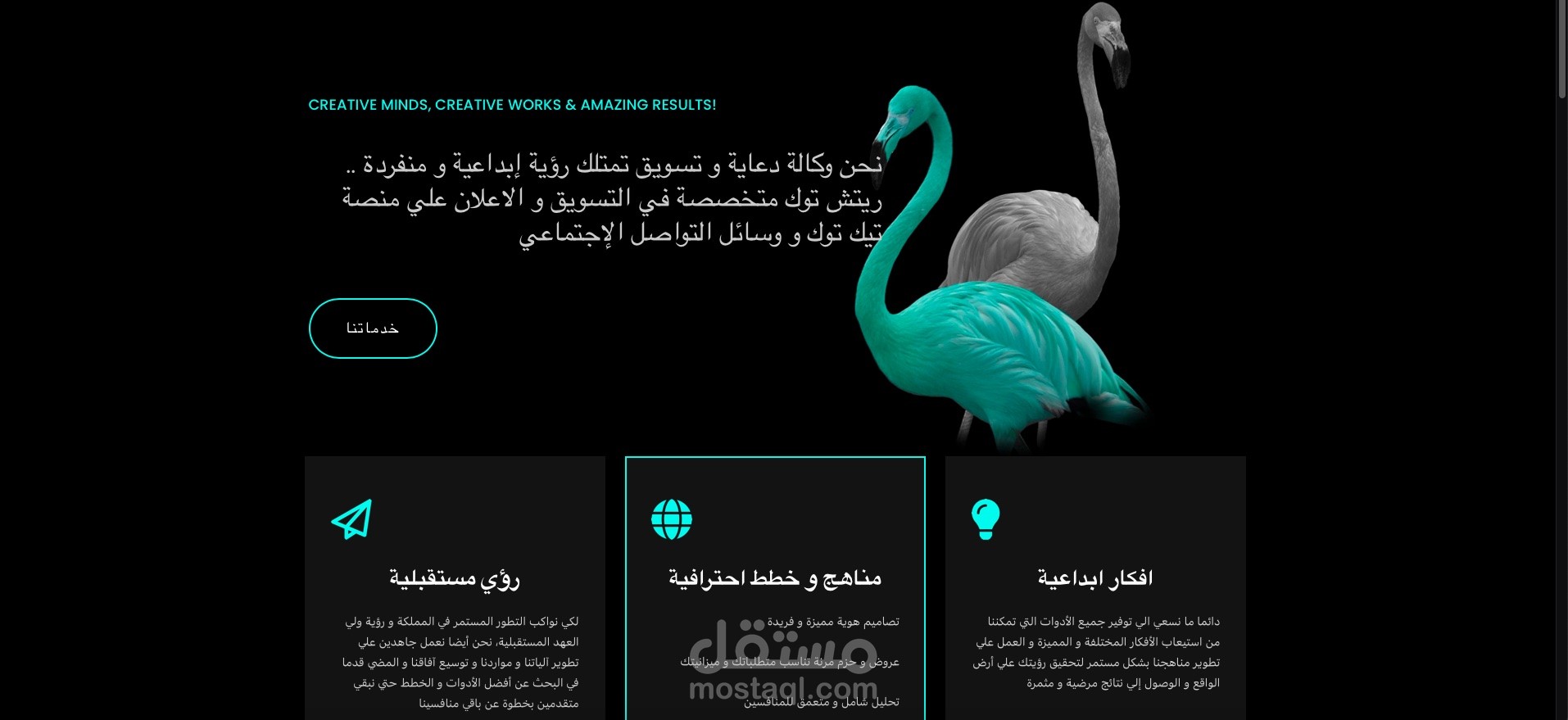 تصميم موقع الكتروني لوكالة دعاية اعلانية علي مواقع التواصل الاجتماعي ReachTok