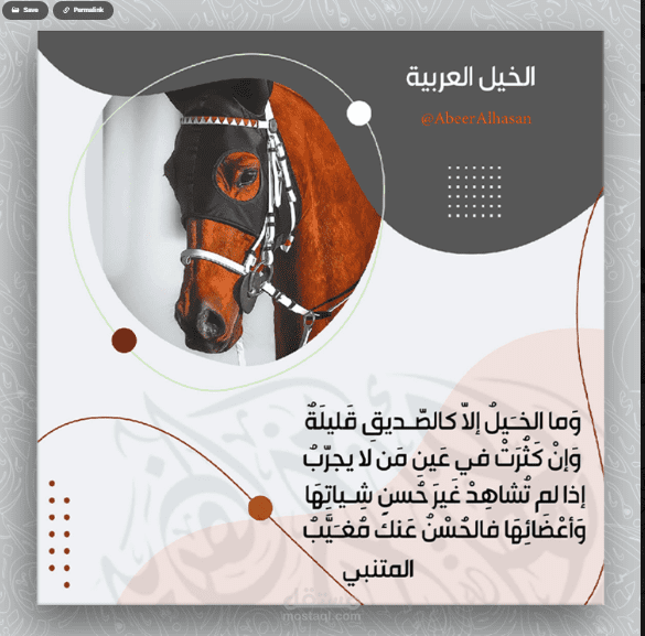 مقولات ..