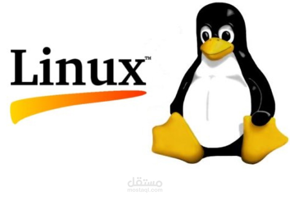 Exploring the Evolution of Linux