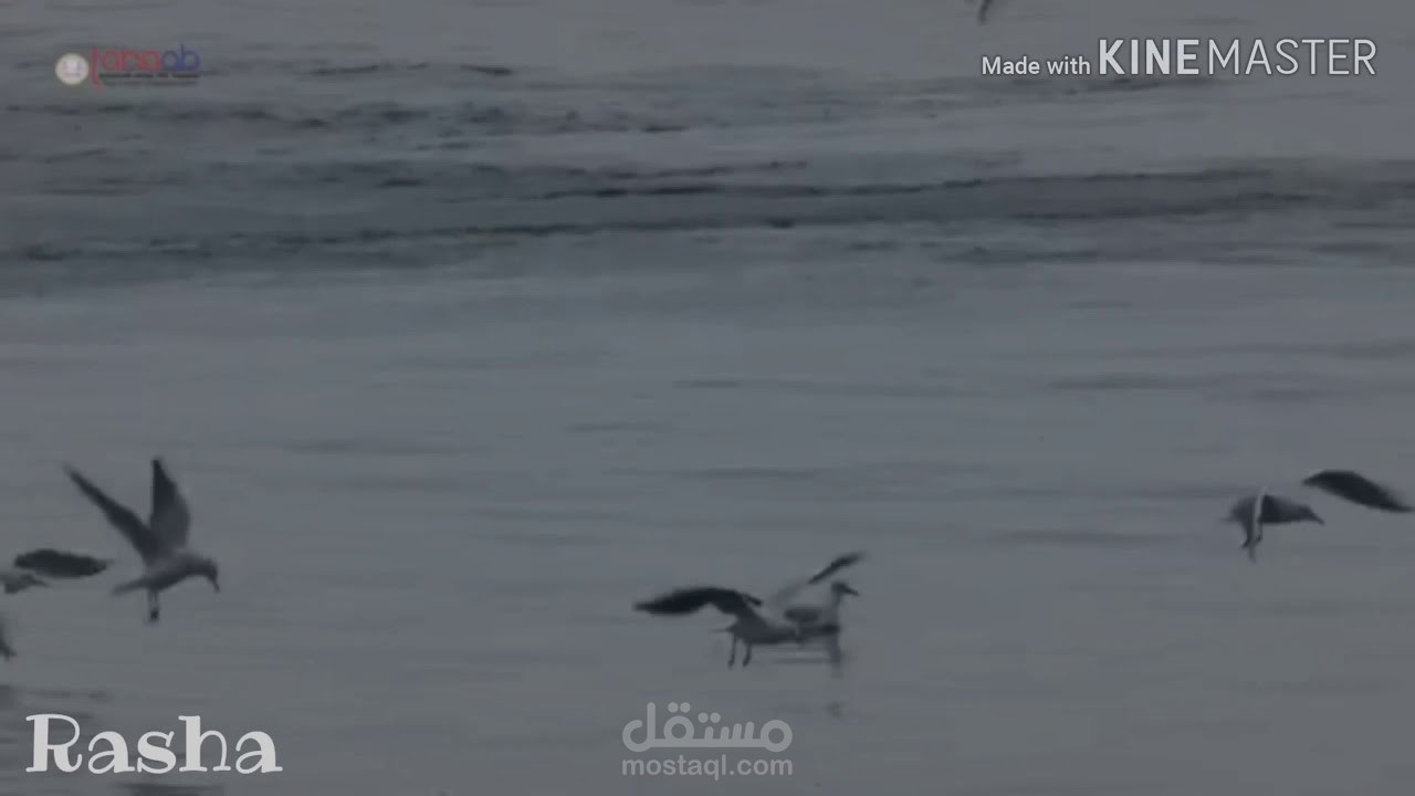 تعليق صوتي لخاطرة كتبتها بقلمي أيضاً