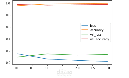 Image Classification