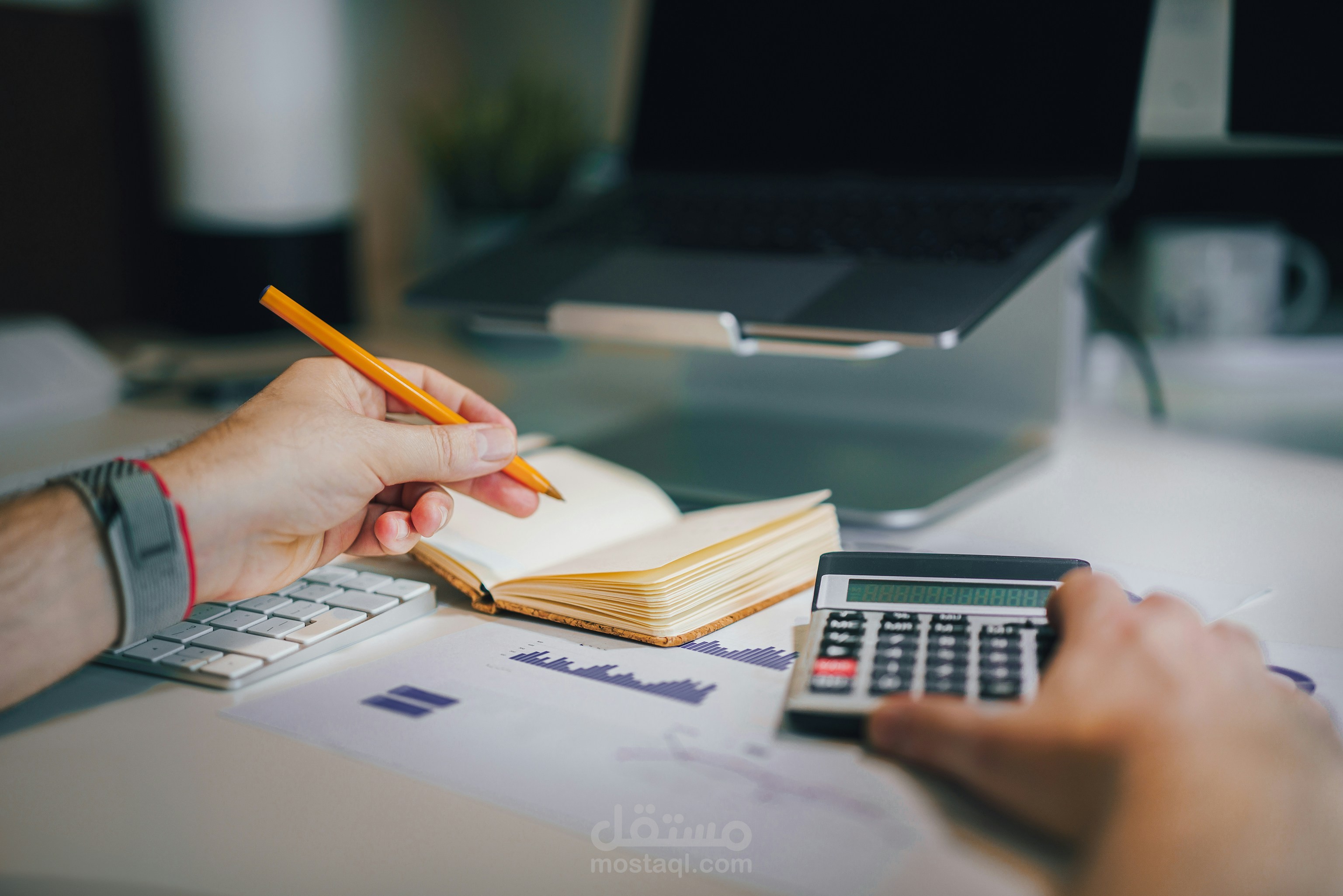 Bank Reconciliation Statement على Excel