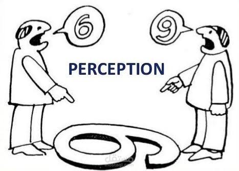 Perception