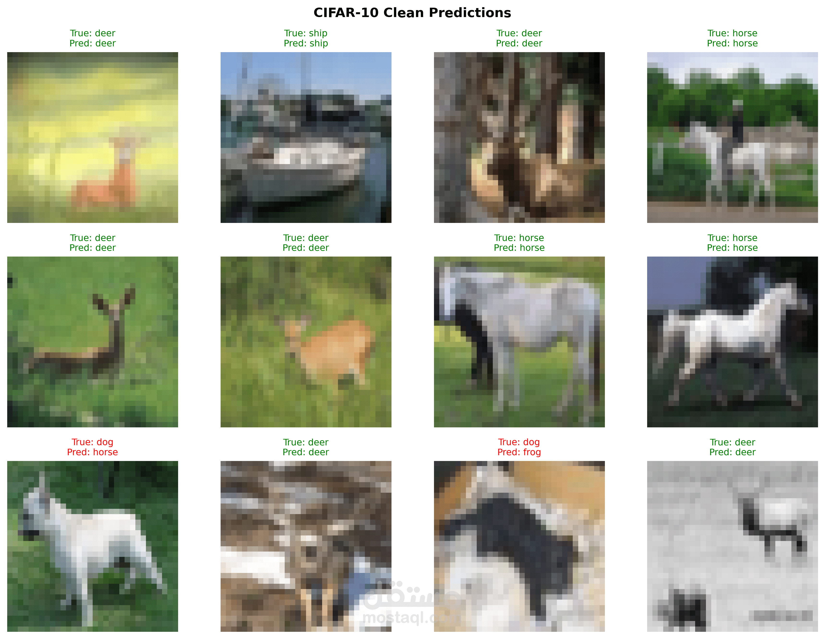 دراسة متقدمة لتعزيز متانة نماذج تصنيف الصور ضد الهجمات العدائية Deep Learning (Adversarial Attacks & Defenses on Image Classifiers)