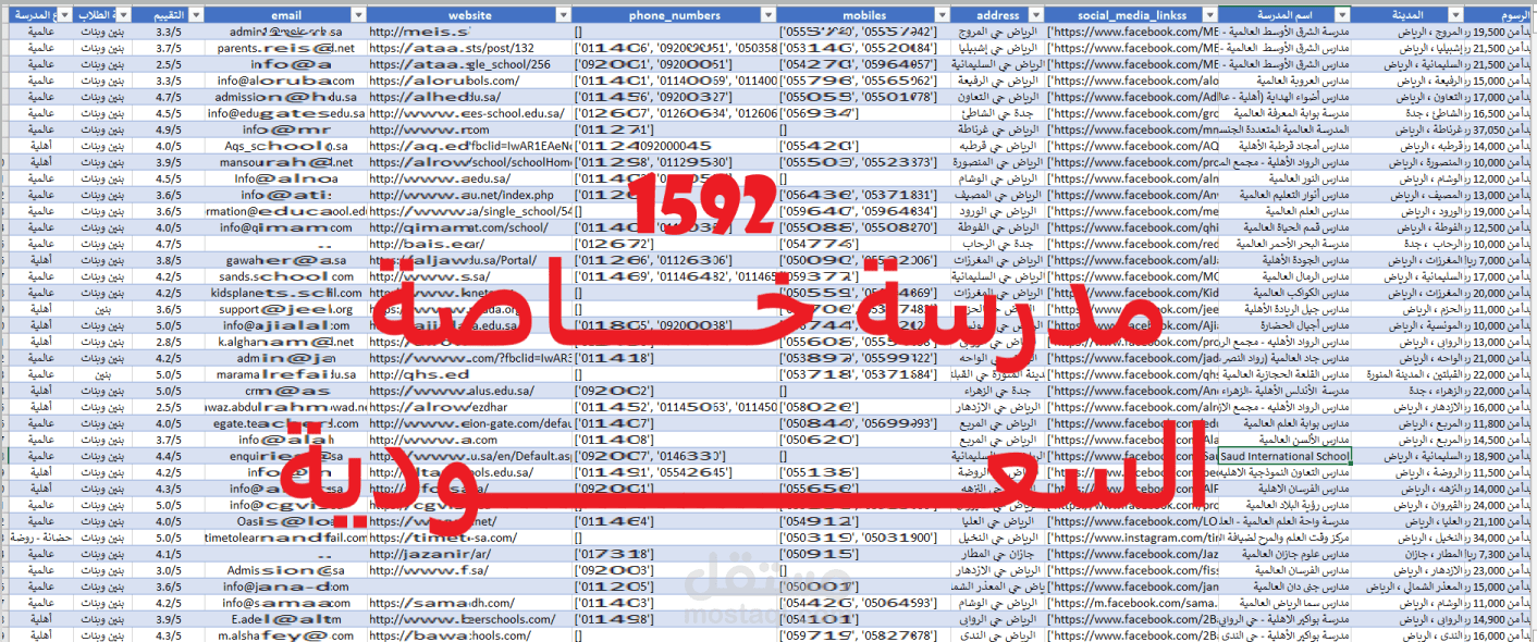 1592 مدرسة خاصة في السعودية
