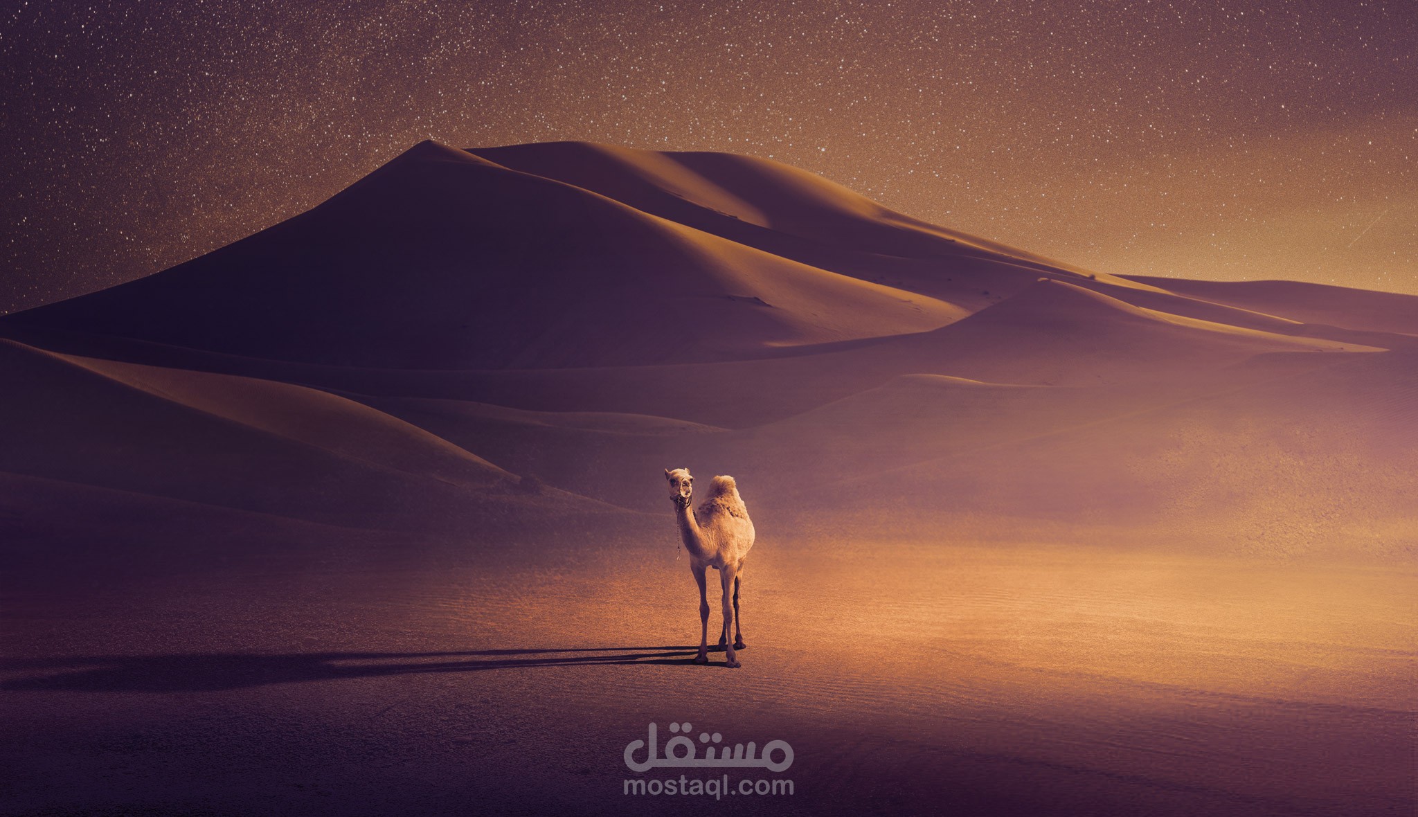 LOST SHIP. | Manipulation Project