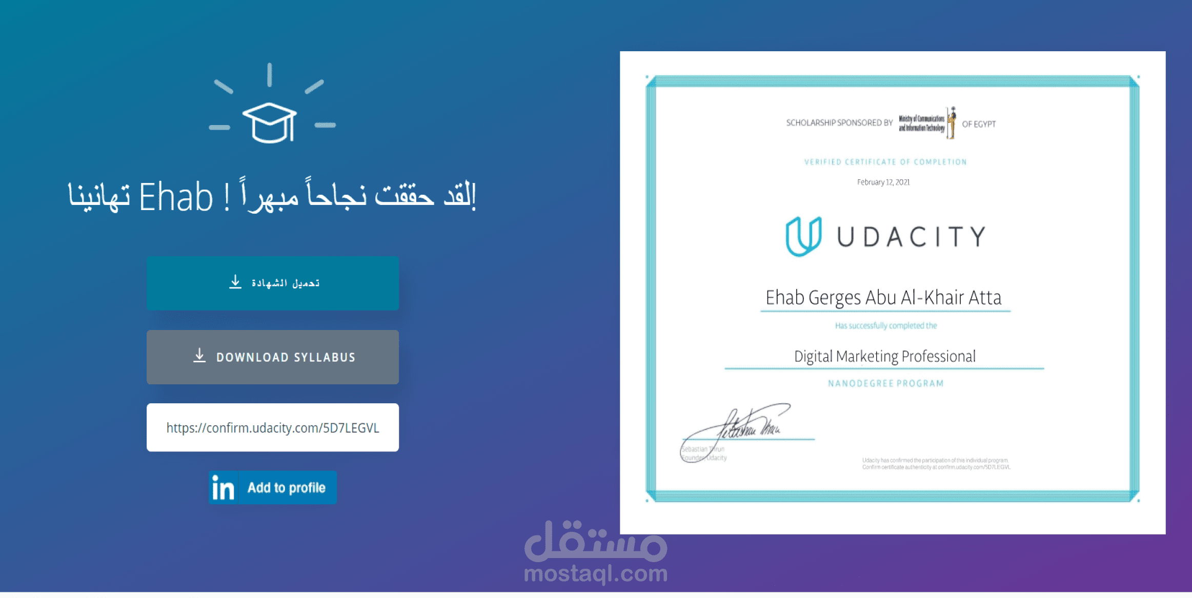 🎓 Digital Marketing Professional — محترف التسويق الرقمي