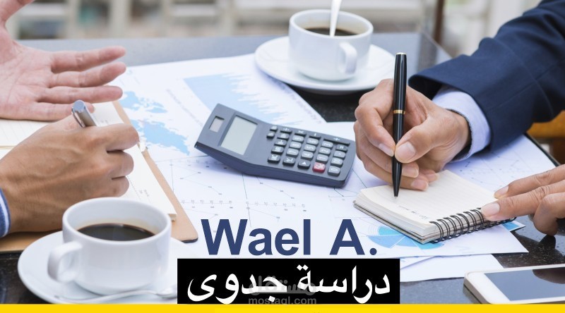 إعداد دراسات جدوى إقتصادية للمشروعات والإستثمارات.