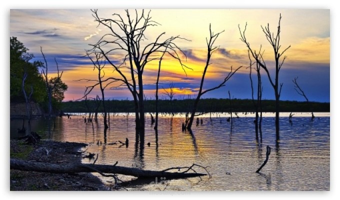 أقدم لك 30 صوره Full HD و بمقاس شاشتك