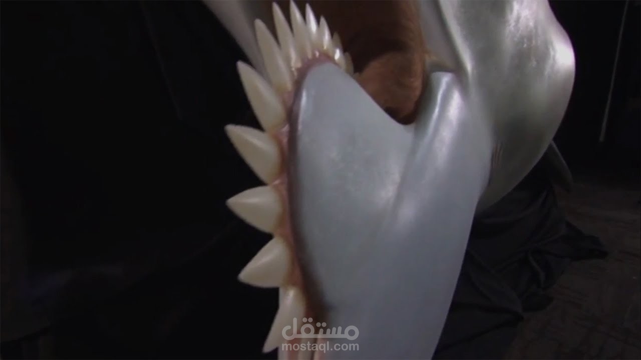 ترجمة واعادة صياغة محتوى علمي لصالح قناة يوتيوب