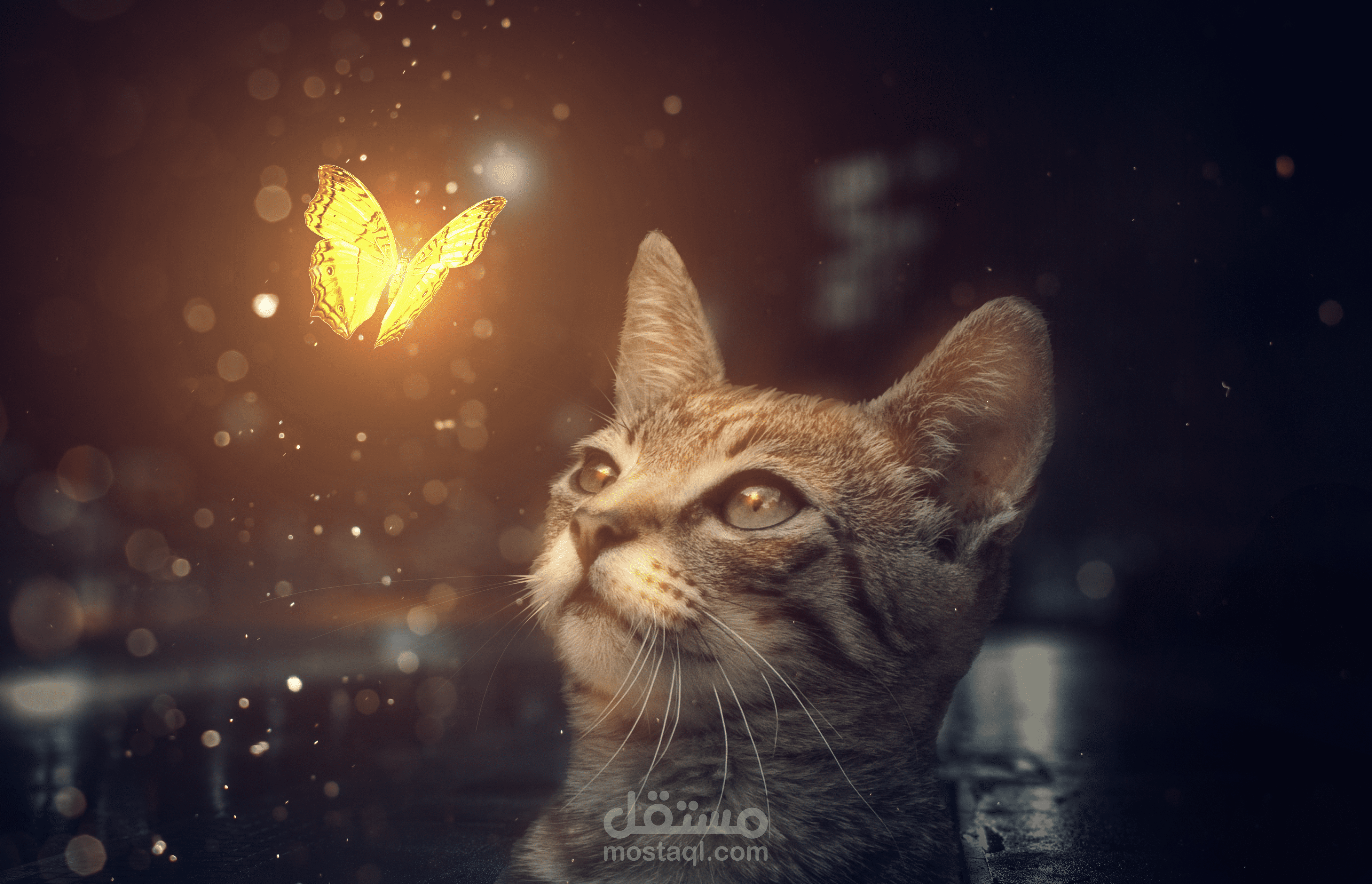 photos manipulation photoshop