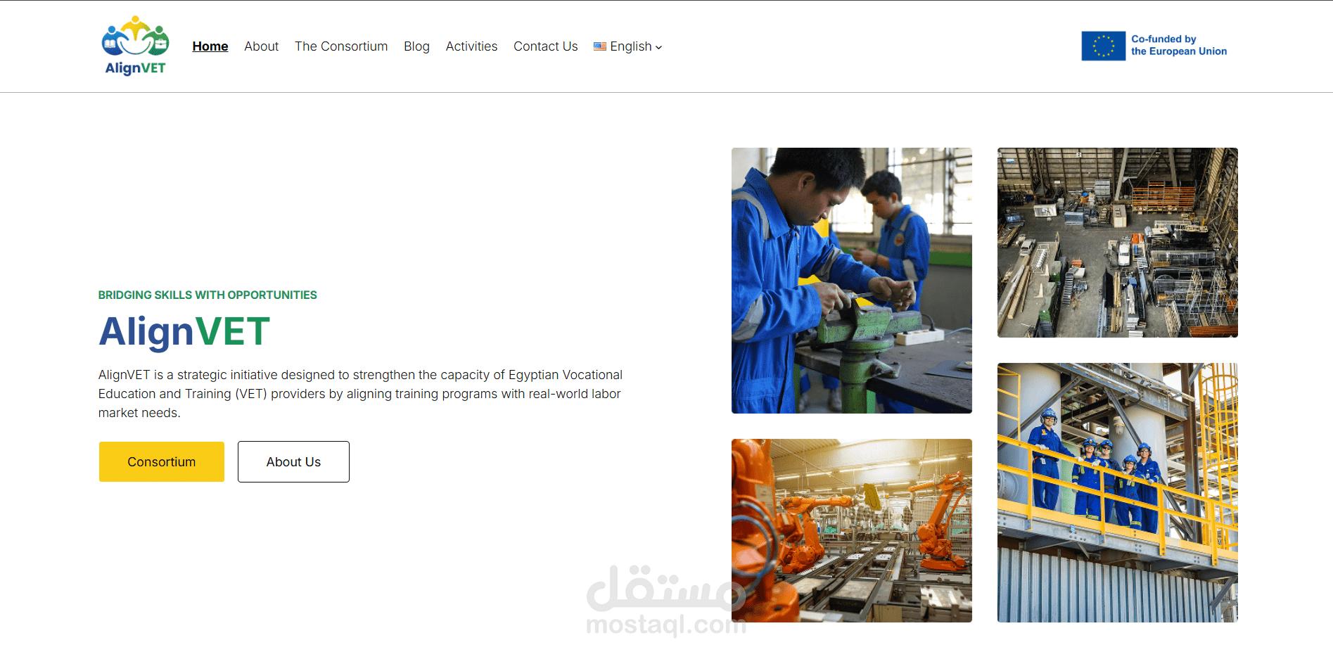 AlignVET Website
