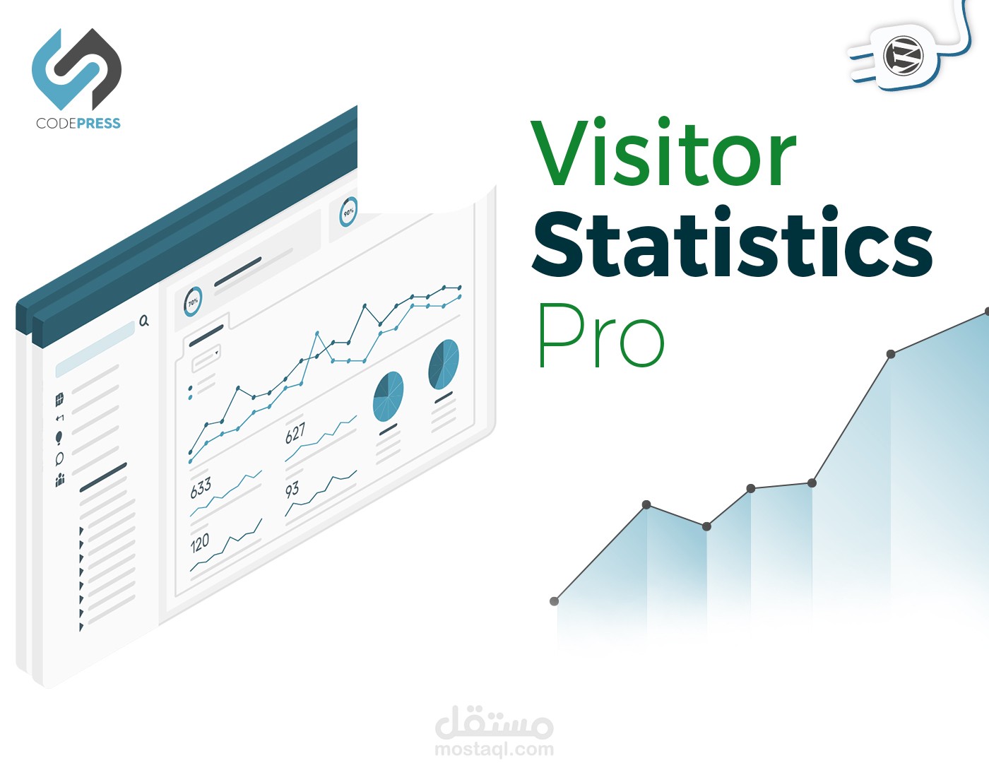 Website Design - Visitor Statistics Pro