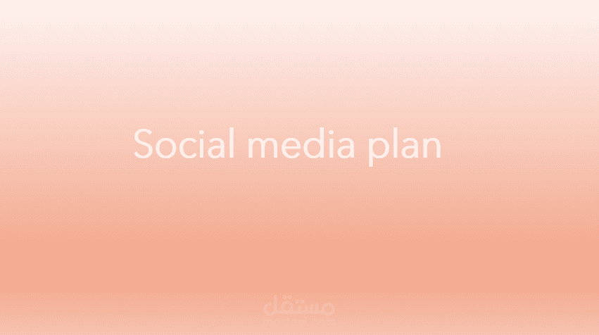 Social media plan