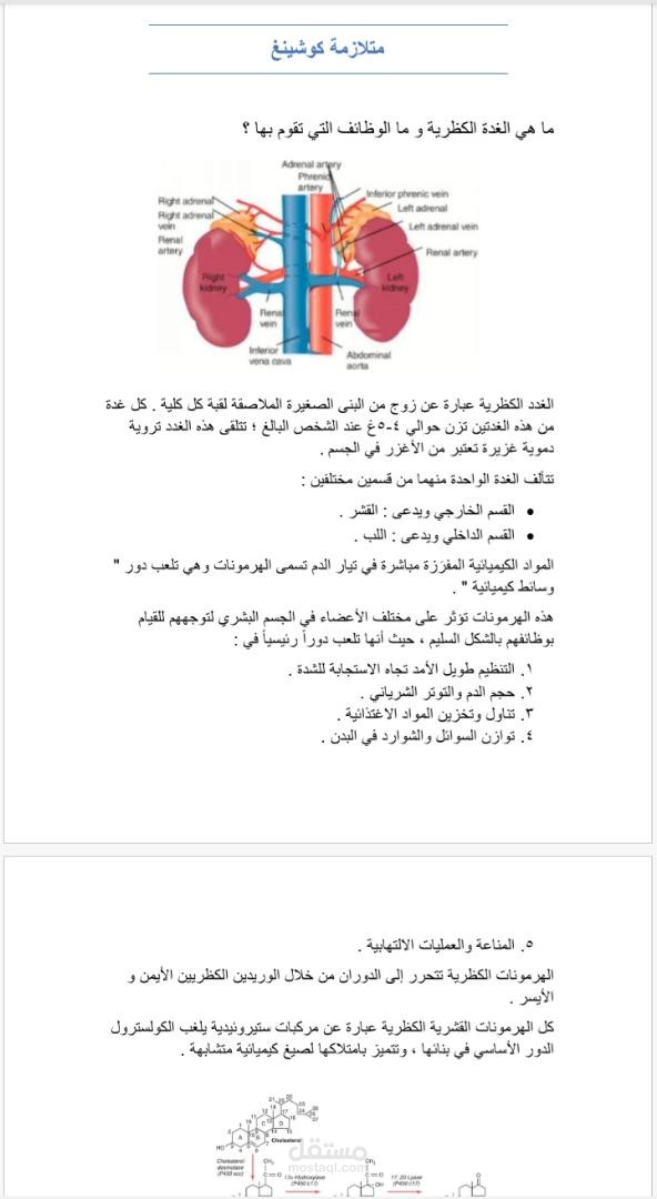 الترجمة