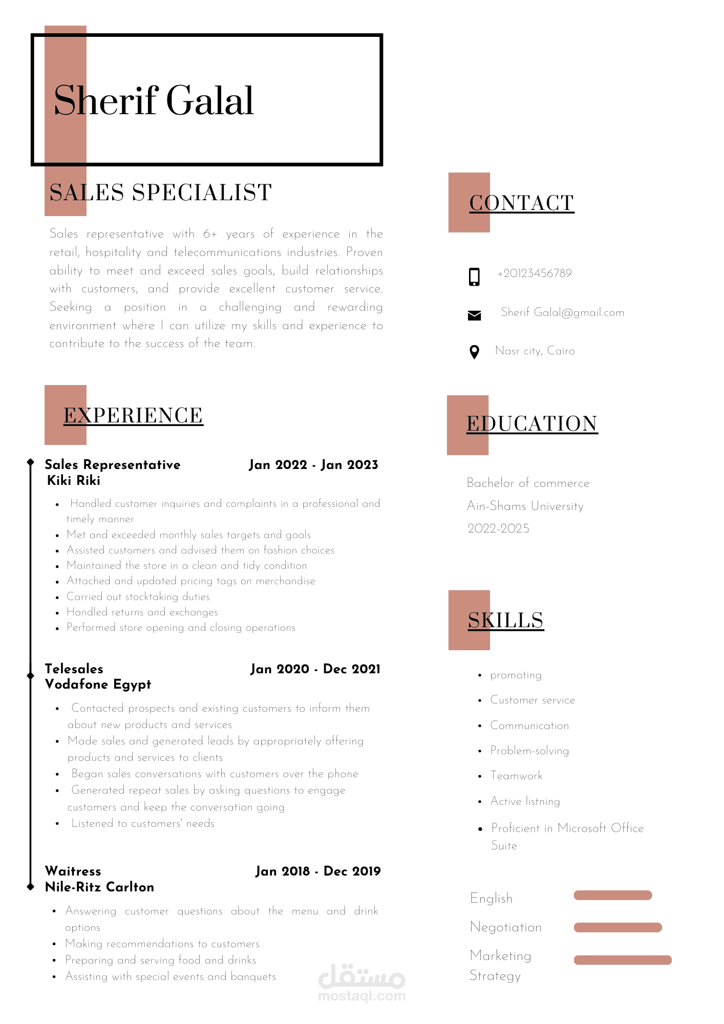 سيرة ذاتية احترافية