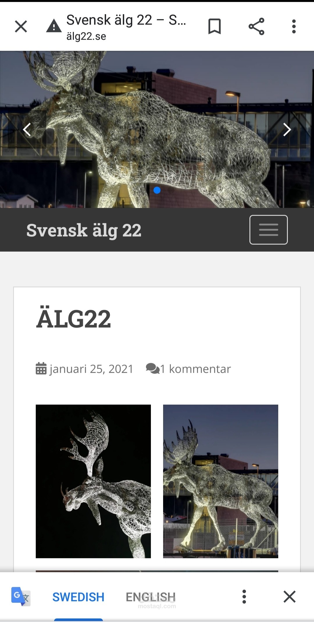 موقع غزال الموظ السويدي