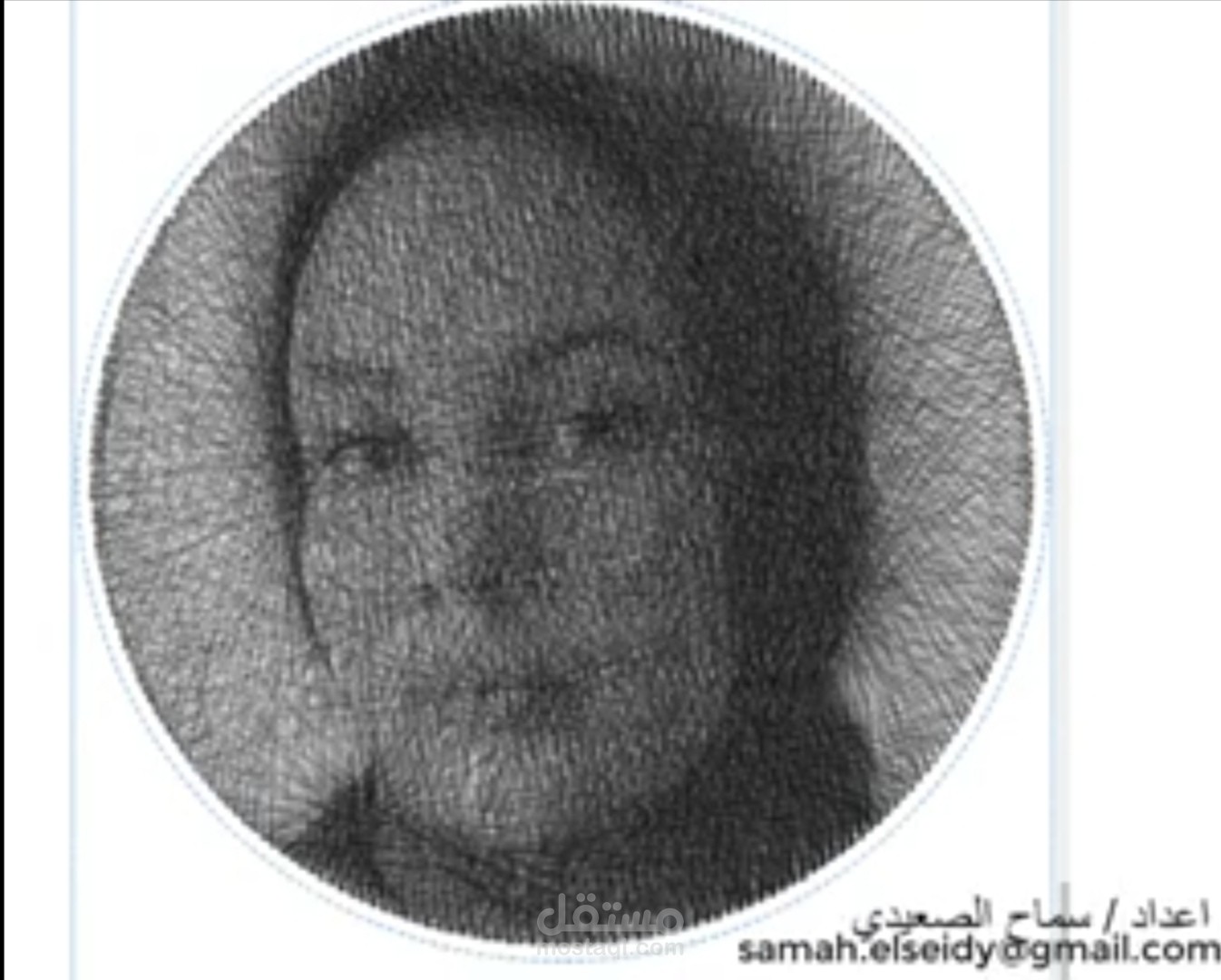 عمل فيديوهات شرح للمواقع