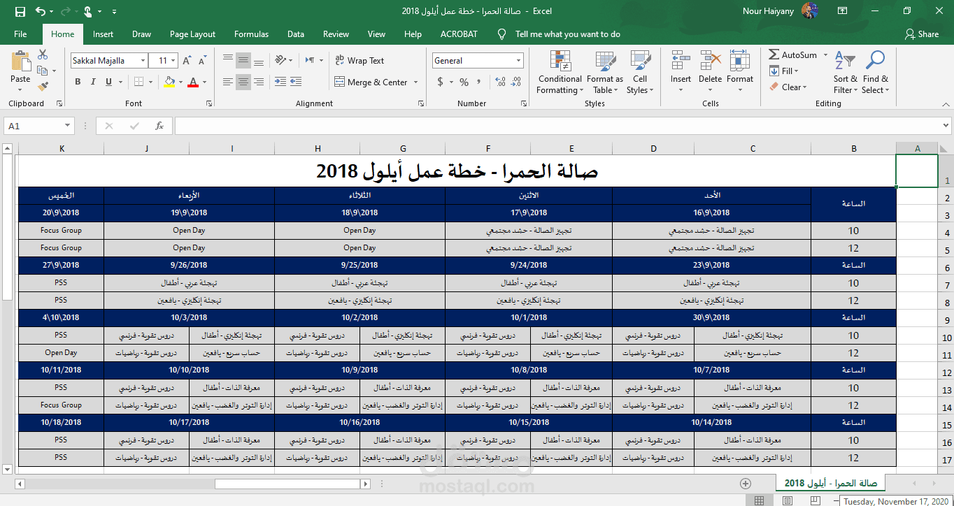 ادخال البيانات على Excel