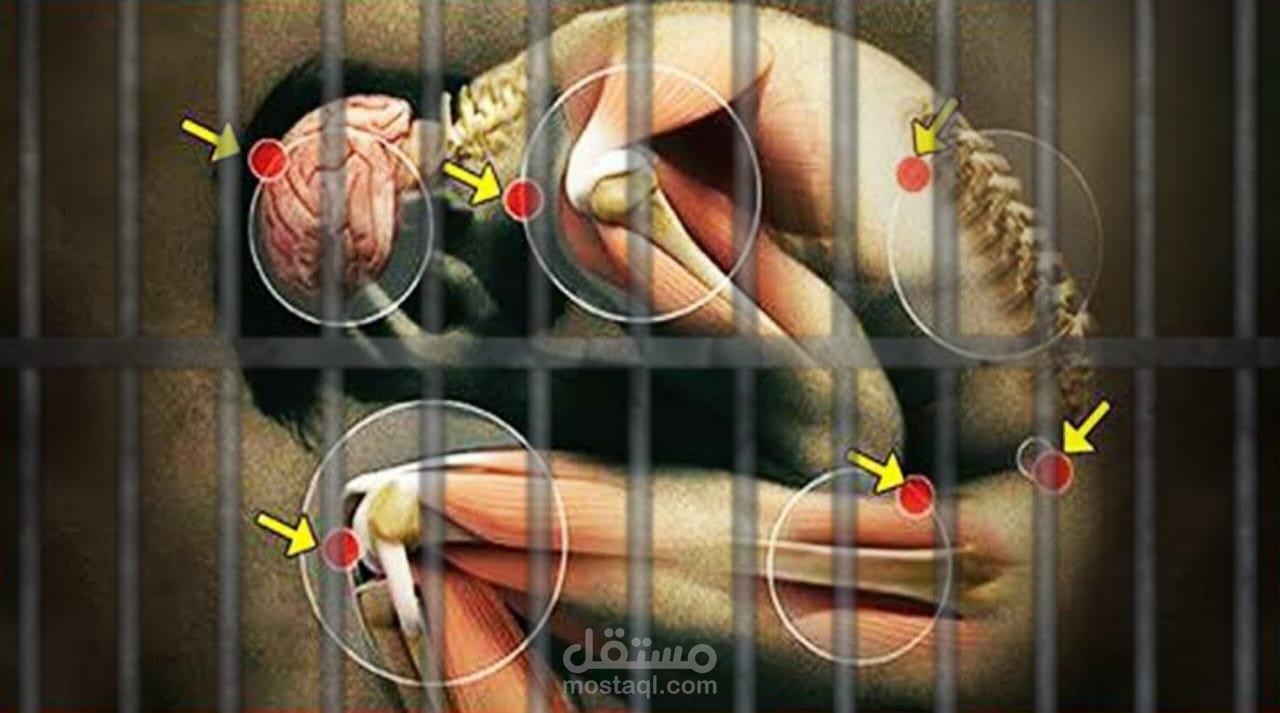 مقال عن النظام الغذائي لمرضى الفيبروميالجيا