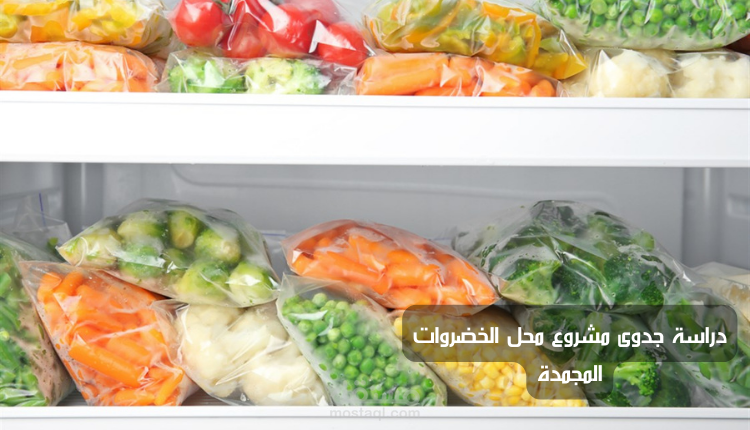 دراسة جدوى مشروع محل الخضروات المجمدة