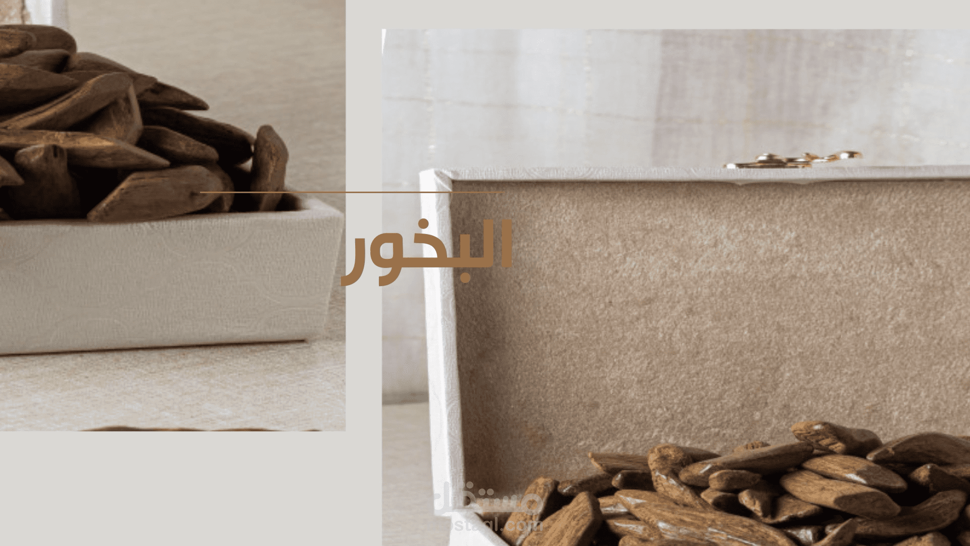 فديو متجر