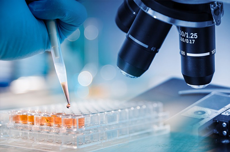 scientific researches ( البحث العلمى )