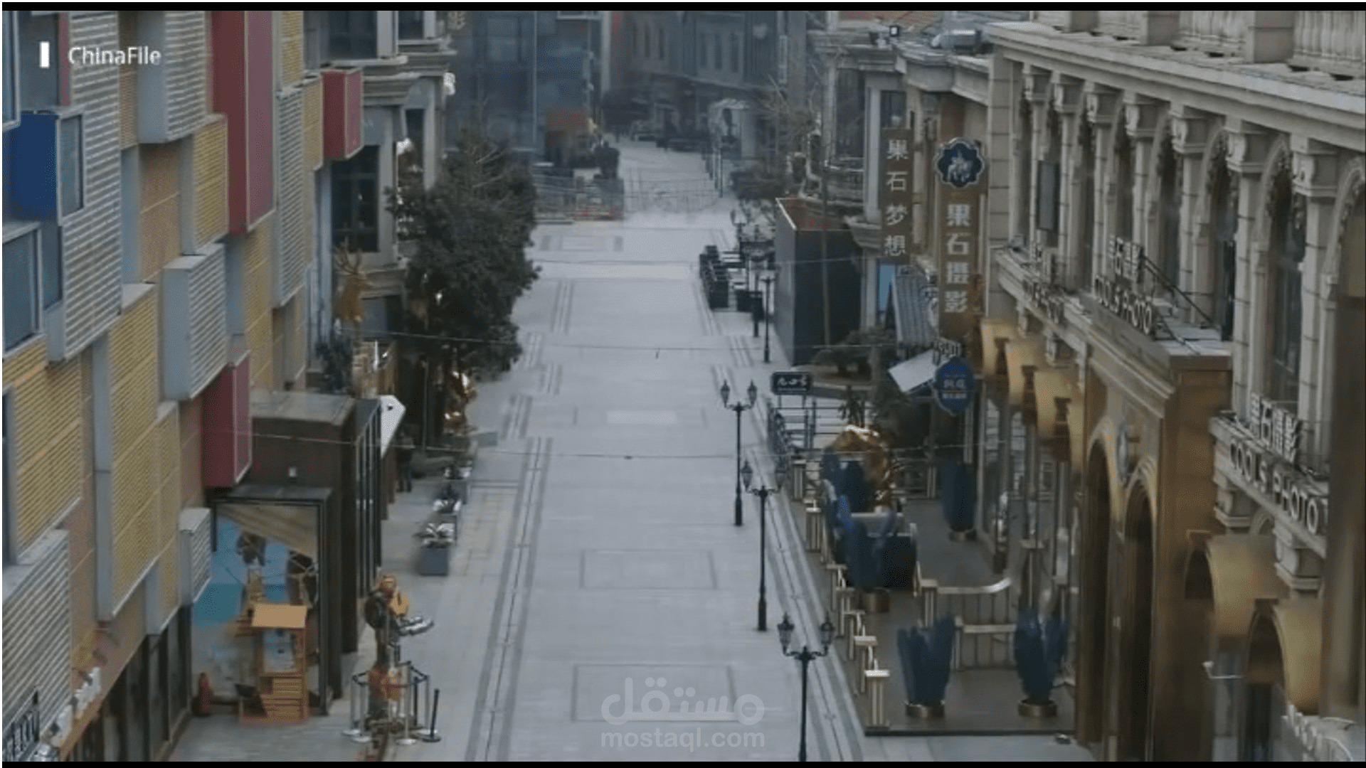 تقرير عن فايروس كورونا