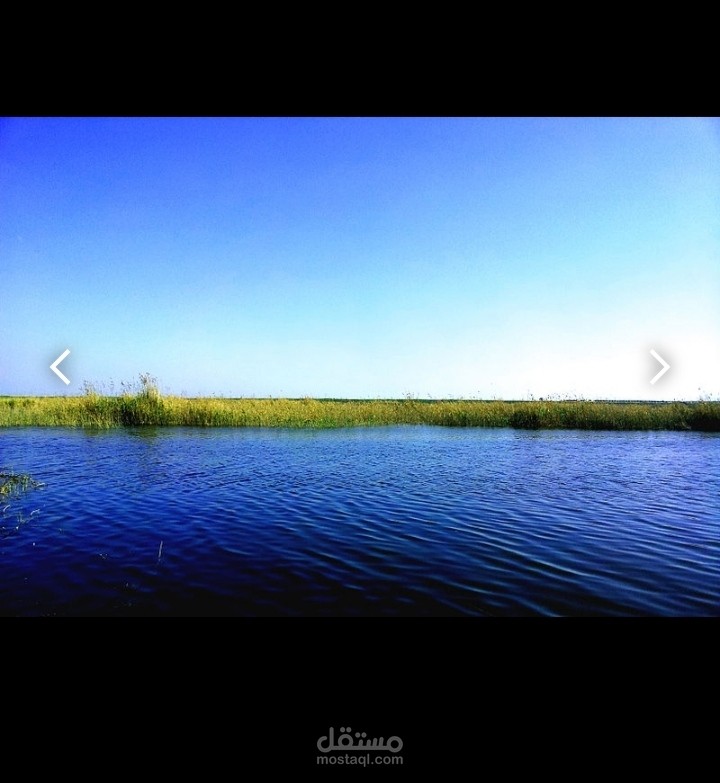 بحيرة مريوط