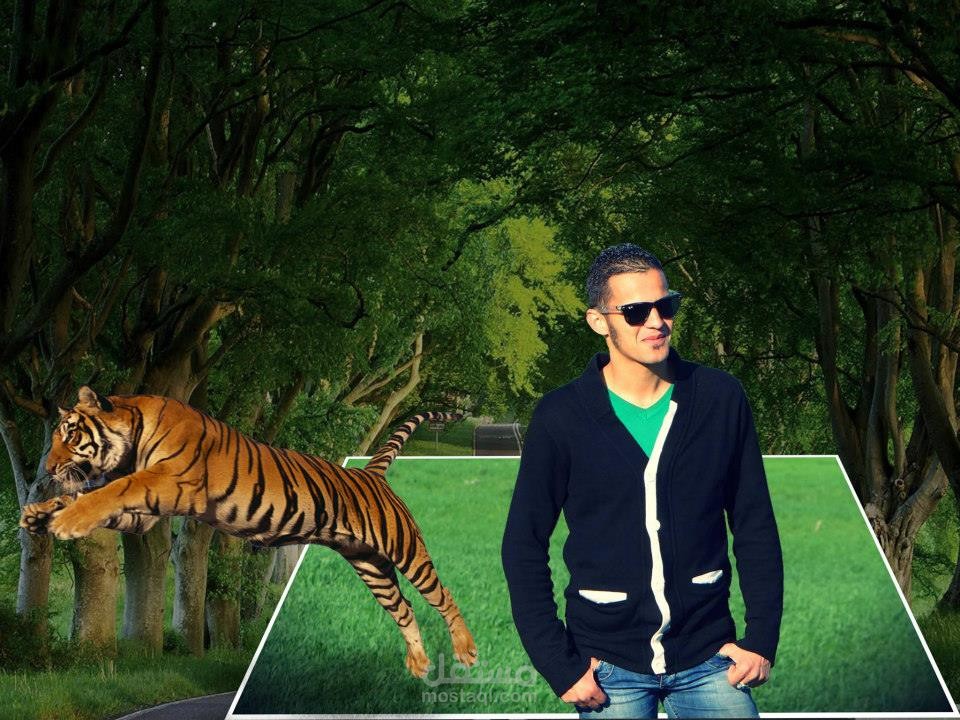 التعديل على الصور