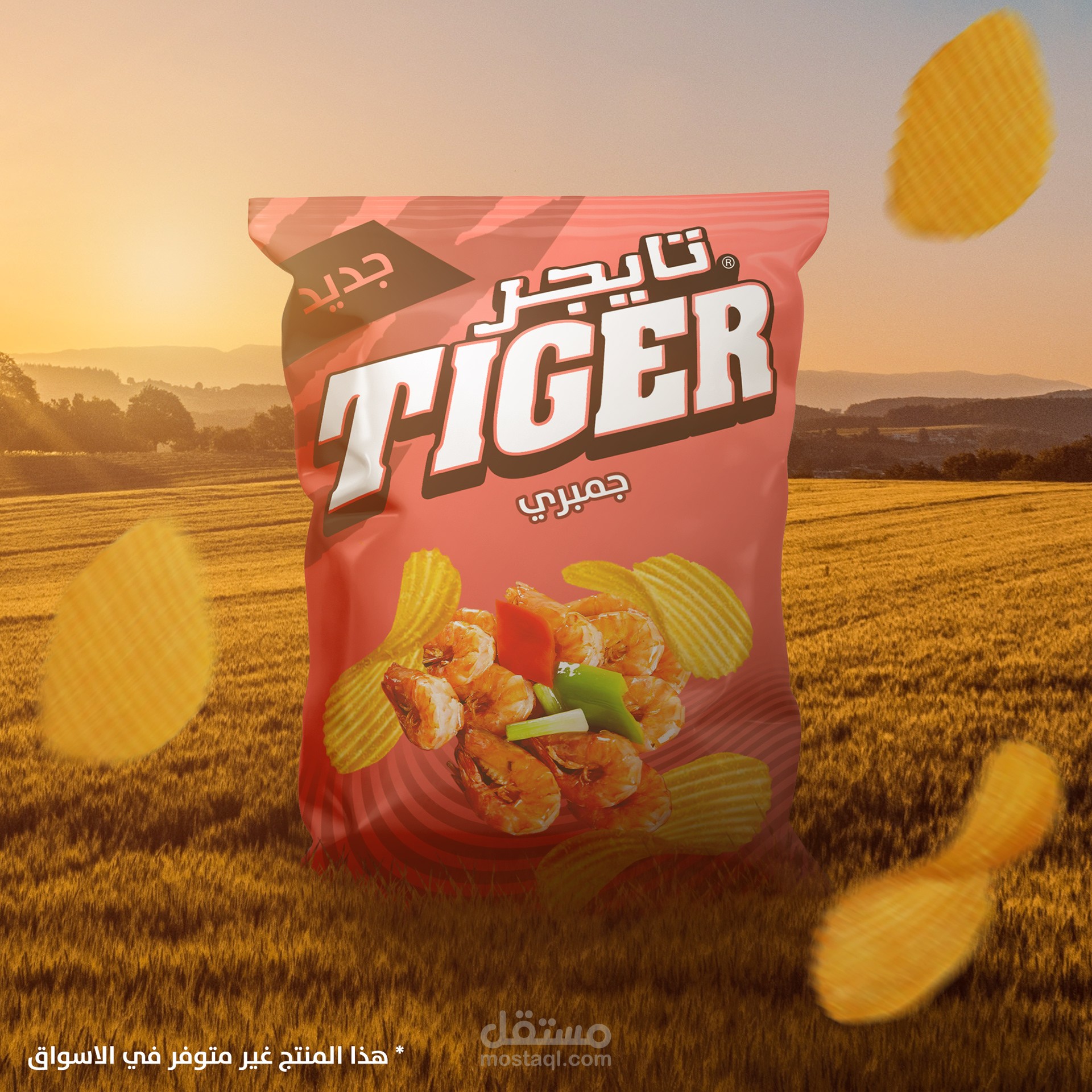 Branding | Packaging | Product design for Tiger chips